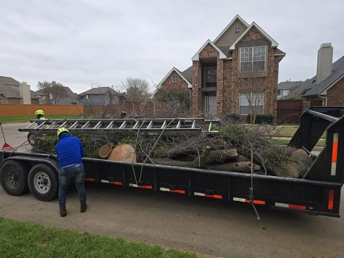 Expert Lot Clearing with proper safety equipment in Allen